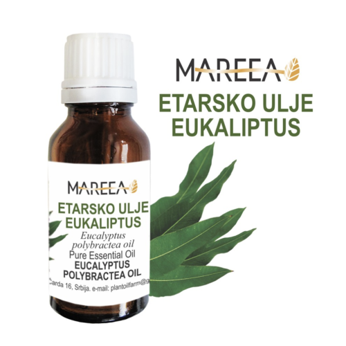 ETARSKO ULJE EUKALIPTUS POLIBRAKTEA 10ml